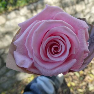 En cours de création